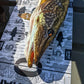 TOISE XL PIRAGRAPH INTERACTIVE